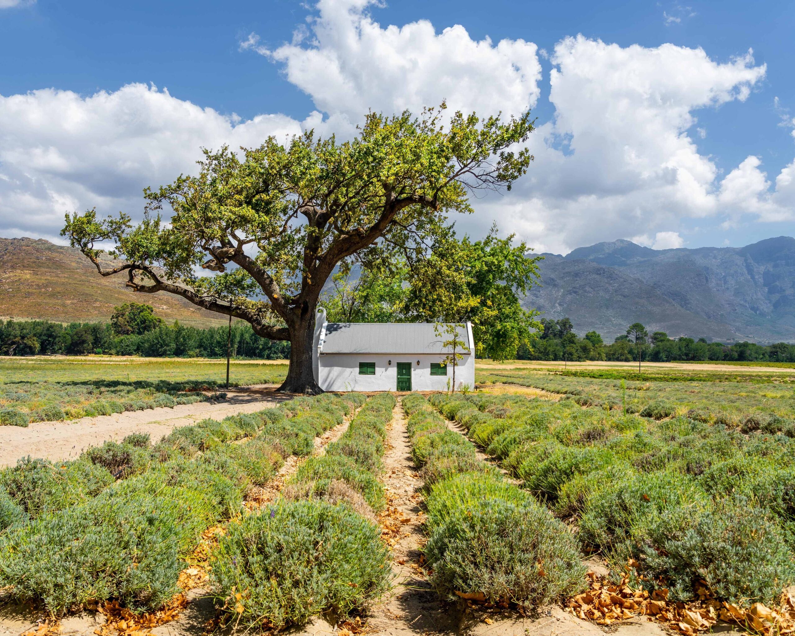 Hoogtepunten van Zuid-Afrika