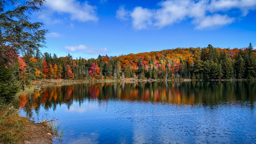 Algonquin Provincial Park