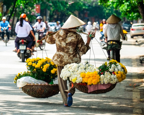 Ontdek de magie van Noord-Vietnam