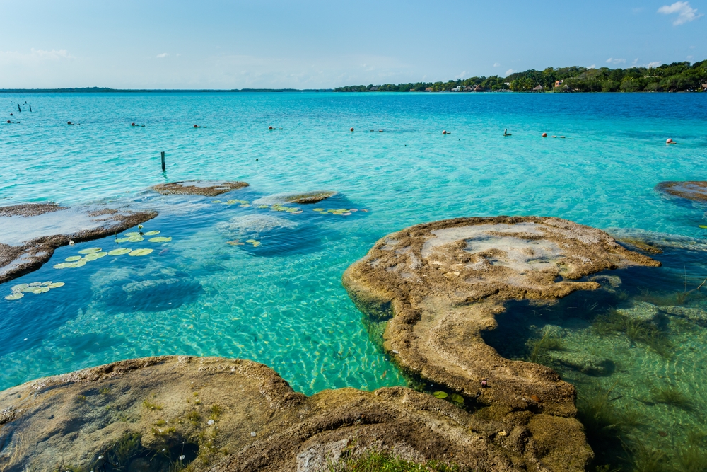 Bacalar