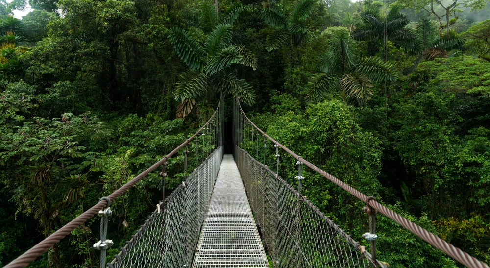 Monteverde Cloud Forest Reserve