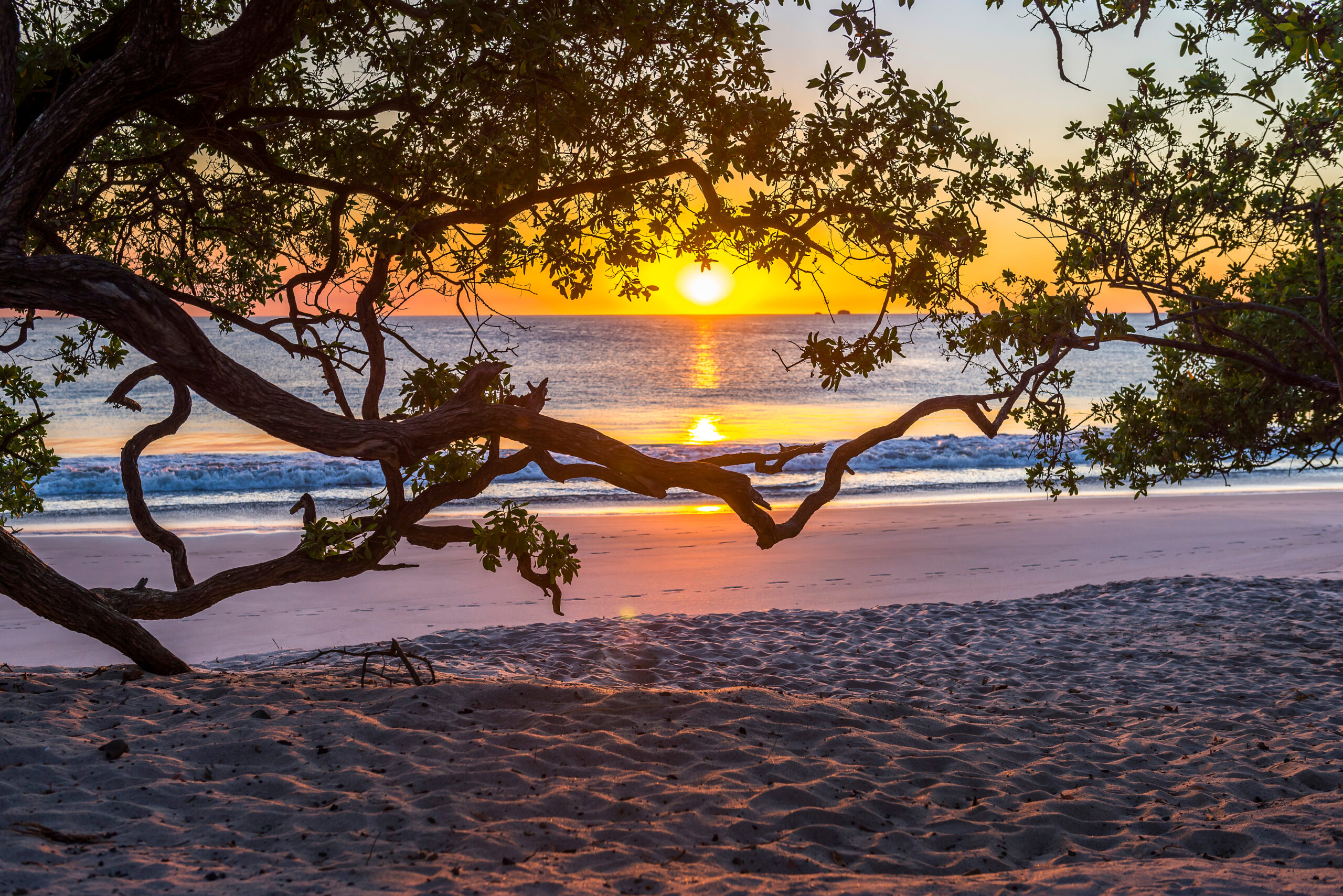 Playa Flamingo