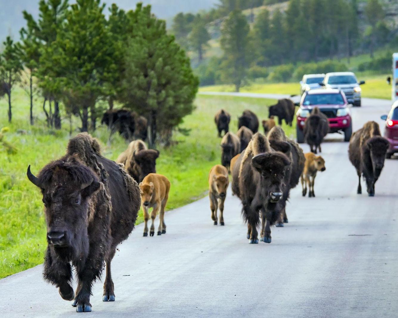 Rockies & Zuidwest-Amerika Highlights