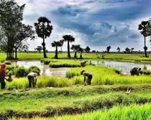 Ontdek de Schatten van Cambodja & Noord-Vietnam