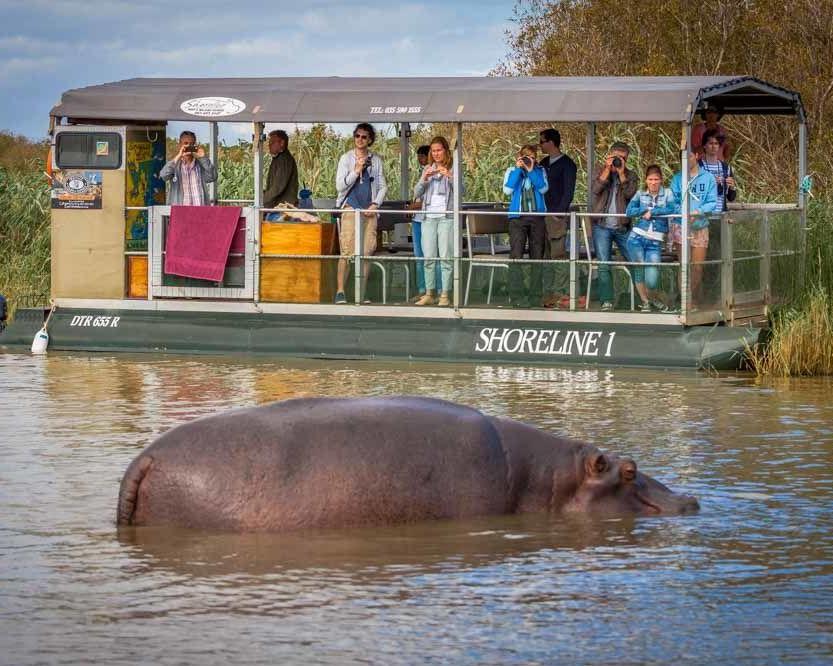 Hoogtepunten van Zuid-Afrika