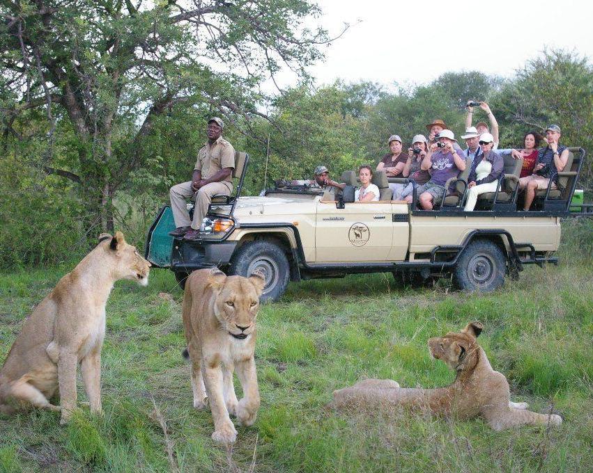 Het beste van Zuid-Afrika